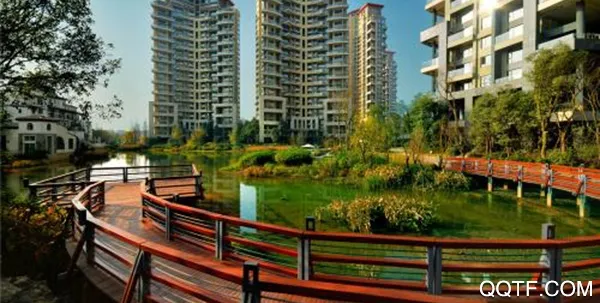 青鸟社区2025最新版本 青鸟社区2025最新版本