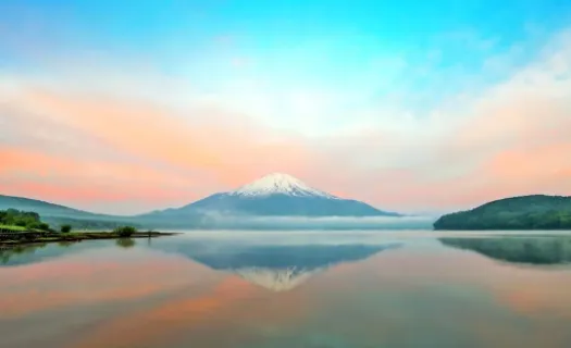 无颜之月2025官方最新版本 无颜之月2025官方最新版本