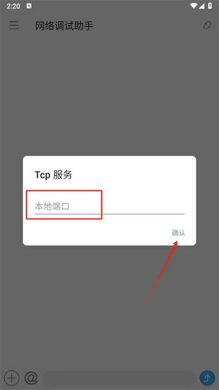 NetAssist�����������2025�ٷ�����