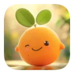 С����Box(��ý�岥�Ź���)