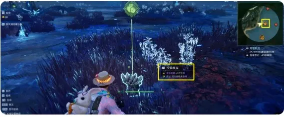 ���Ž��ٰ�׿���ֻ���