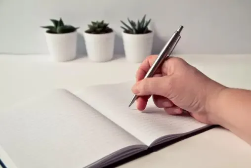 ��������2025���°汾