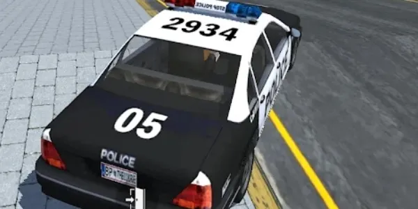 ����ɳ��ģ����2025�ٷ�����