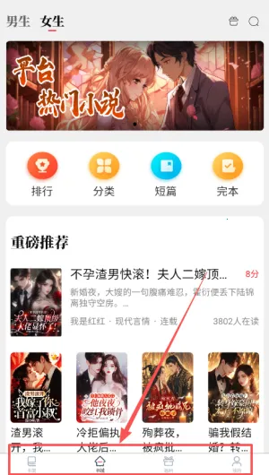 ����С˵(С˵�Ķ�����)