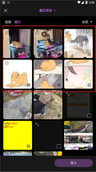 ����Ƶ����2025���ذ�װ