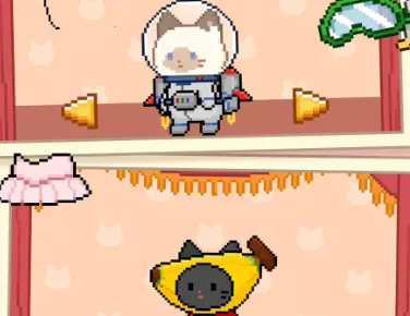 è���쿧�����ֻ���