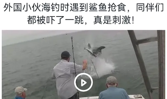 ���㱦��2025���°汾