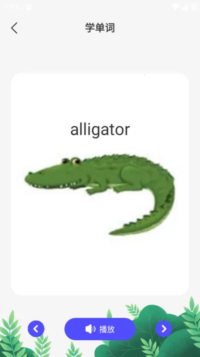 �ع�2025���ذ�װ