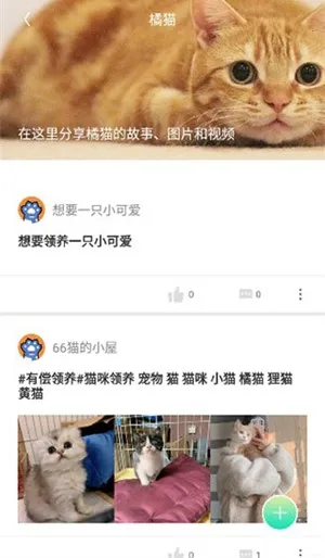 ��צ2025���°汾