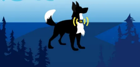 ��������׿���ֻ���