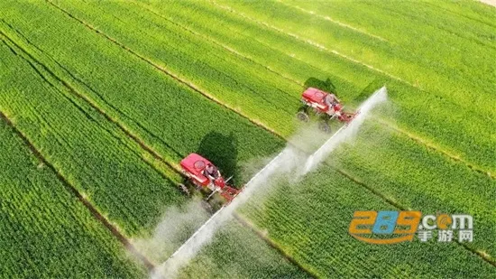 ����ũ��2025�ٷ�����