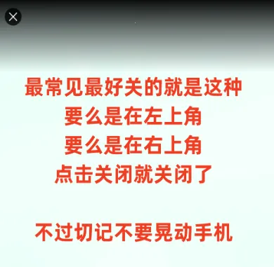 ������Ƶ2025�ٷ�����