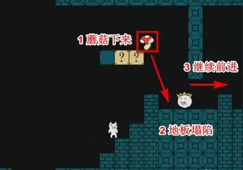 ����è��������ֻ���