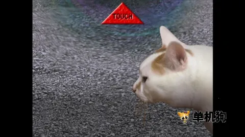 ����è֮����̷2025�ٷ�����