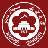 �����´������ֻ���