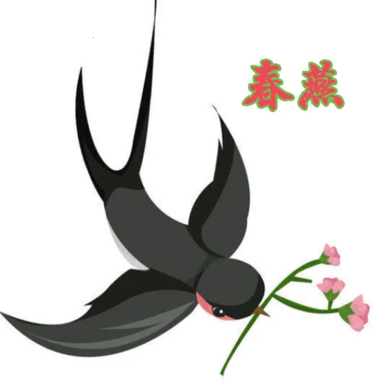 ����Ӱ��2025���ذ�װ