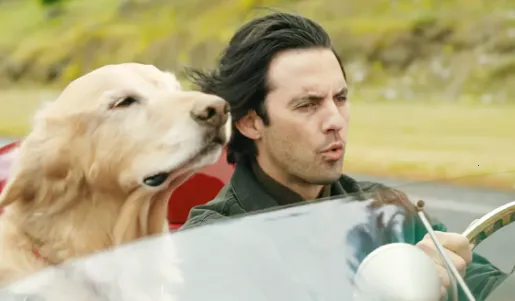 ����Ӱ��(Ӱ�Ӳ�������)