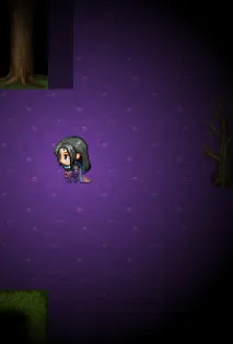 ��Ϯ���봫����2025�ٷ����°汾