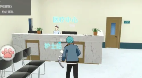 ���˸�è�����ֻ���