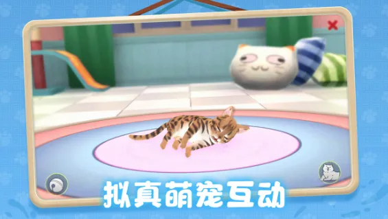 ���˸�è�����ֻ���