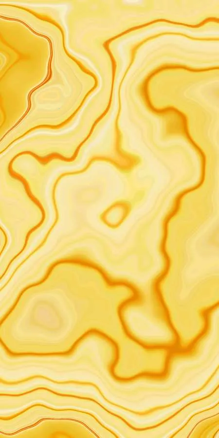 ������ֽ(��ֽ��������)