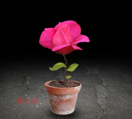 ����һ�����Ӱ�׿���ֻ���