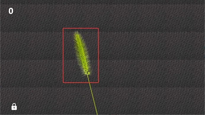 逗猫玩具2025下载安装 逗猫玩具2025下载安装