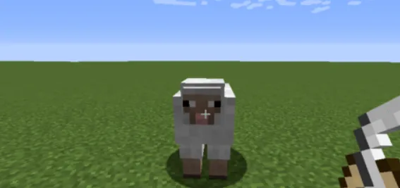 �ҵ�����(ɳ�н�����Ϸ)