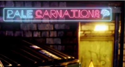 ����ܰ���ֲ�2025���ذ�װ