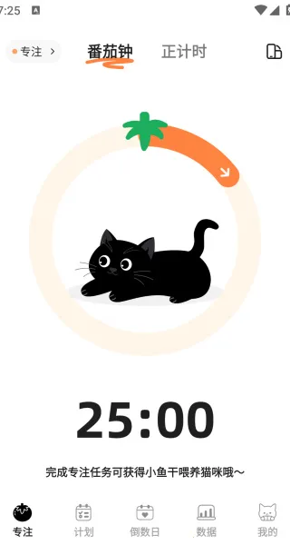 ����������(���ɸ�������)