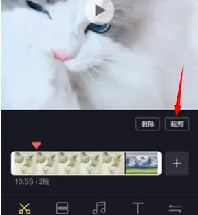 ��Ƶ������2025�ٷ����°汾