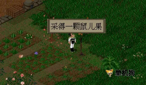 �ɽ�������32025���°汾