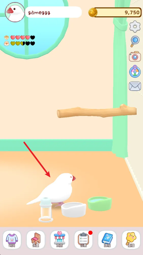 ��������(����������Ϸ)