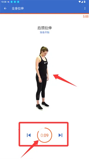 �����������(������������)