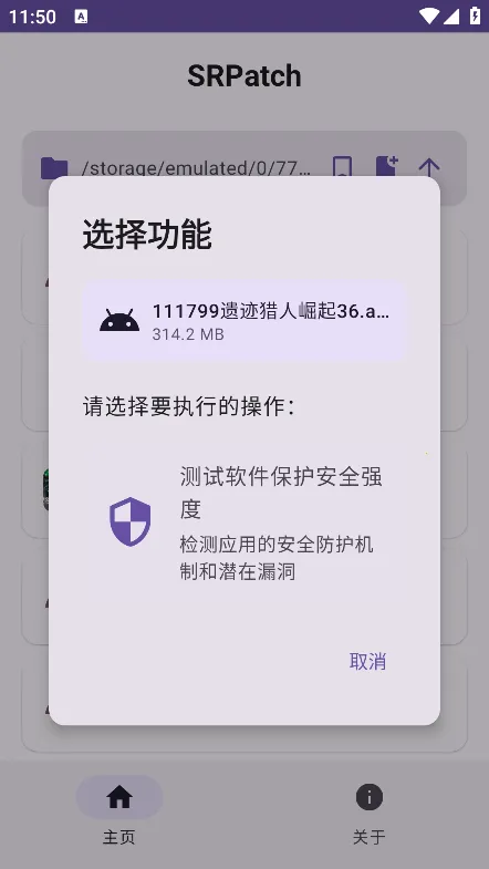 SR Patch(Apkȥǩ������)