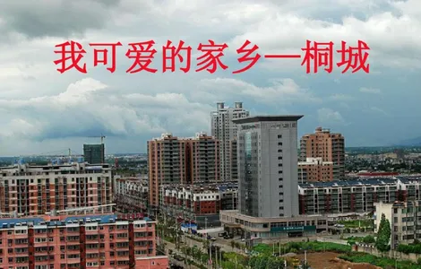 ����ͩ�ǰ�׿���ֻ���