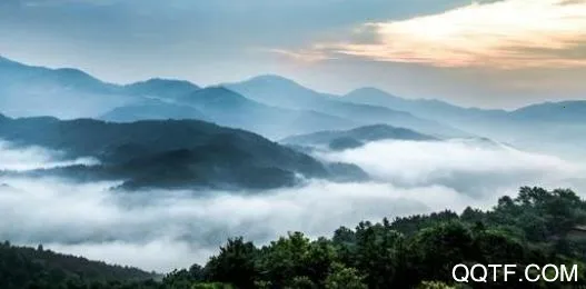 ����ͩ�ǰ�׿���ֻ���