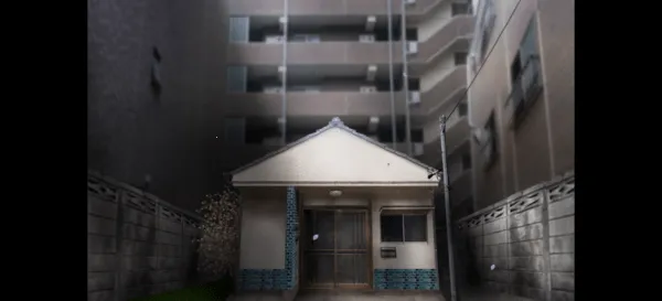 ���չ���֮�ݰ�׿���ֻ���