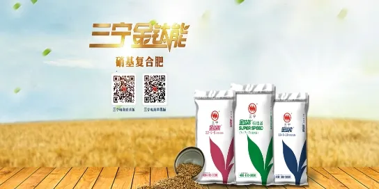 ��������2026���°汾