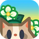 ��֯����2026���°汾