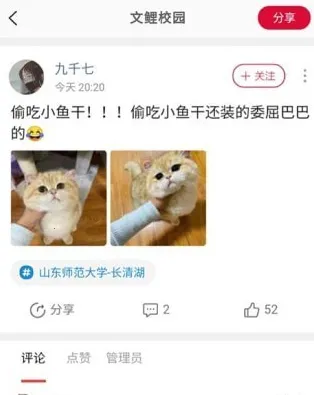 文鲤校园2026下载安装 文鲤校园2026下载安装