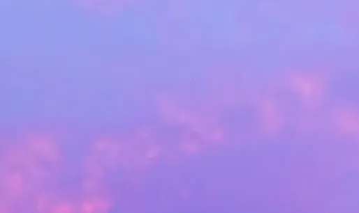 ��������ֻ���