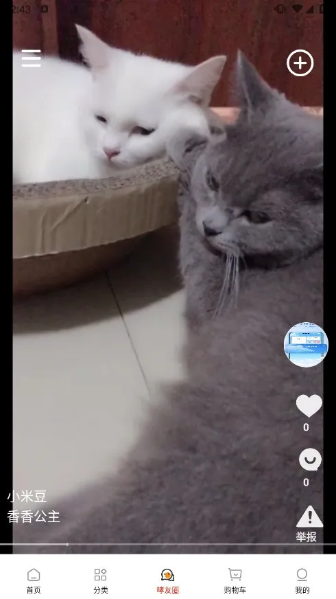 ��С��2026�ٷ�����