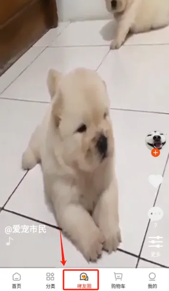 ��С��2026�ٷ�����