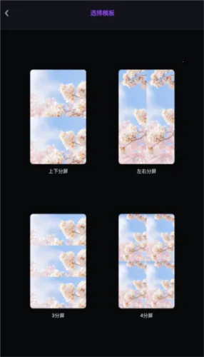 ��Ƶ����cut