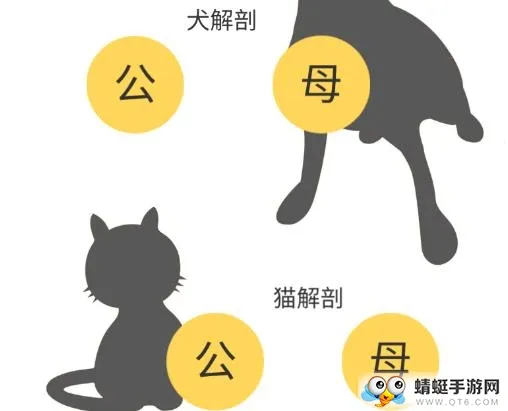 3Dbody����2026���°汾