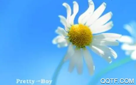 ˮӡ��2026���ذ�װ