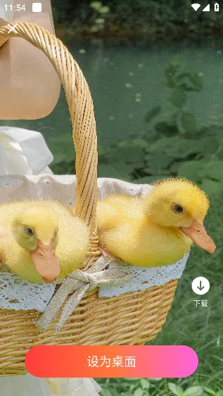 �ǻ��ֽ��׿���ֻ���