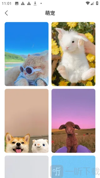 �ǻ��ֽ��׿���ֻ���