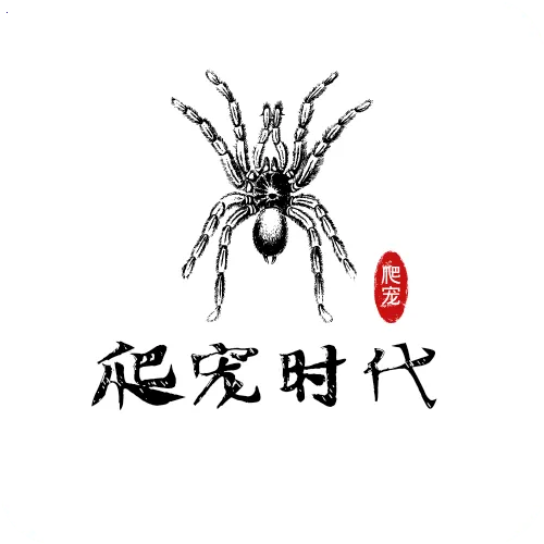 ����ʱ��